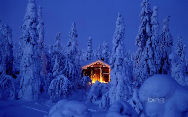 Snowy spruce forest with log cabin in Riisitunturi Naional Park, Finland